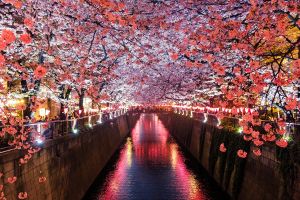 When’s the best time to visit Japan?