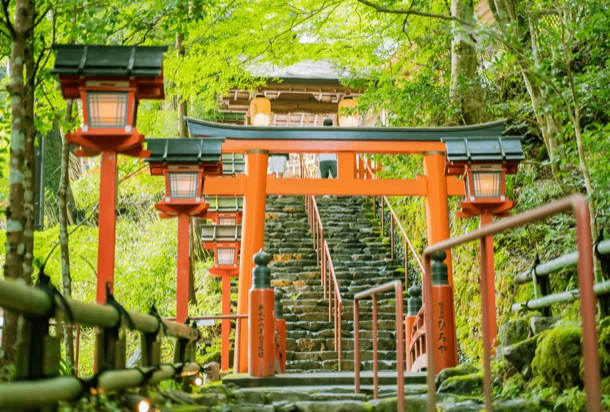 A serene forest path leading to a shrine, surrounded by lush greenery and tall trees in Japan