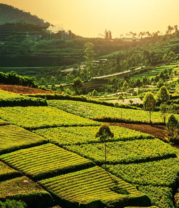 A serene view of Bali, Indonesia, showcasing its lush landscapes