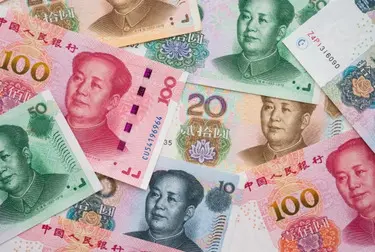 Renminbi (RMB)