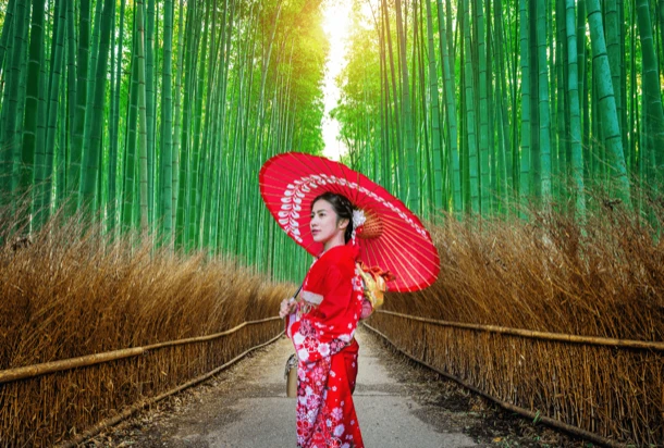 A Japanese woman in a traditional kimono holds a red umbrella in a bamboo grove.