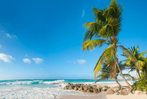 Scenic tropical beach with palm trees and waves crashing on the shore.