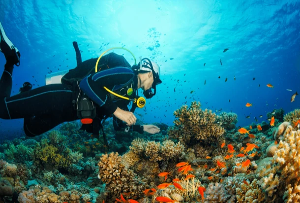 Scuba diving in fiji