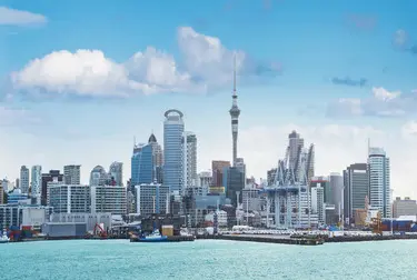 auckland slider landscape