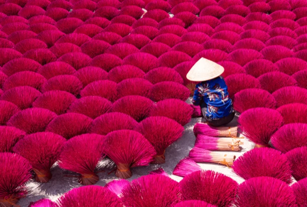 Vietnamese Woman Drying Vietnam Incense Sticks