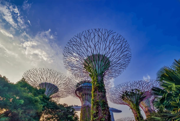 singapore botanical garden