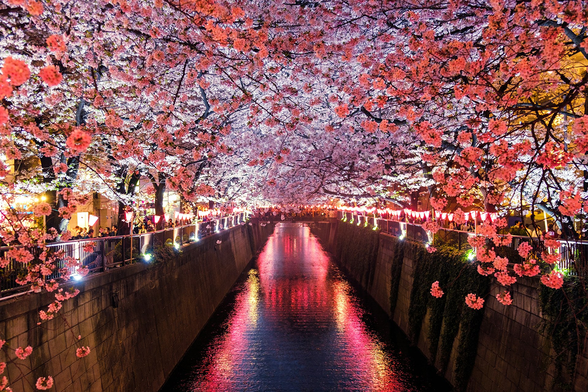 When’s the best time to visit Japan?